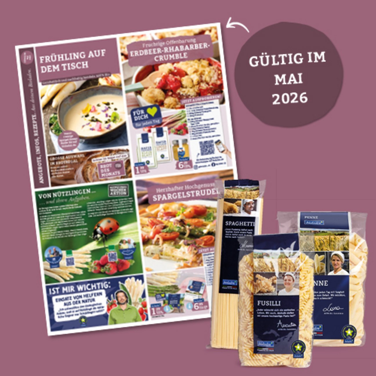 0526-web-flyer-angebote-500x500