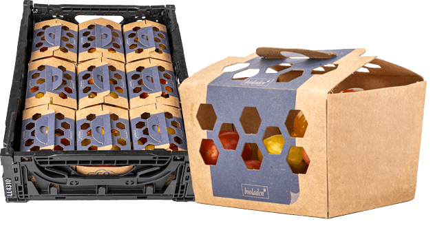 gemueseschalen-mobil_bearb