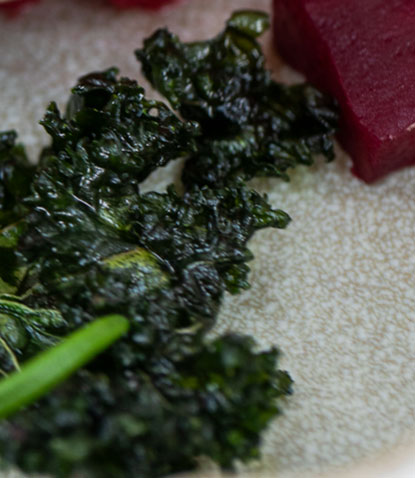 bioladen-weihnachtsrezepte-entenbrust3