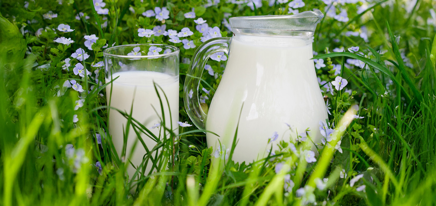 bioladen_Website_Produktvorschaubild_Milch