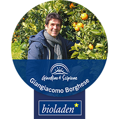 Giardino di Scipione