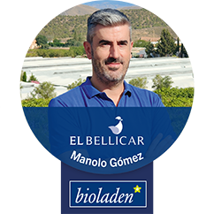 El Bellicar
